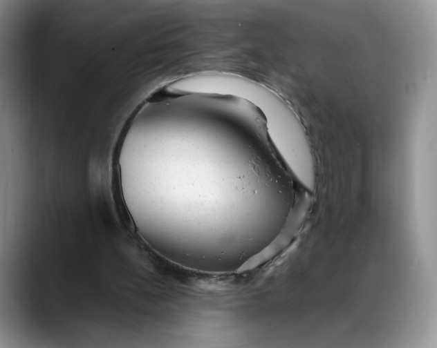 X0000088420148200706121439