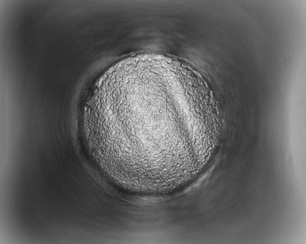 X0000088420149200706121439