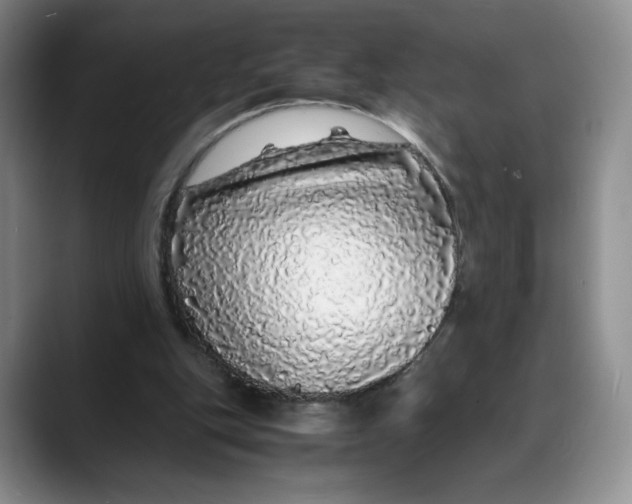 X0000088420151200706121439