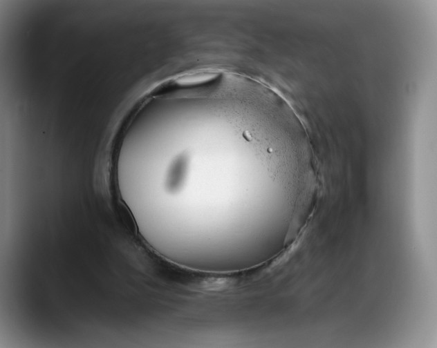 X0000088420152200706121439