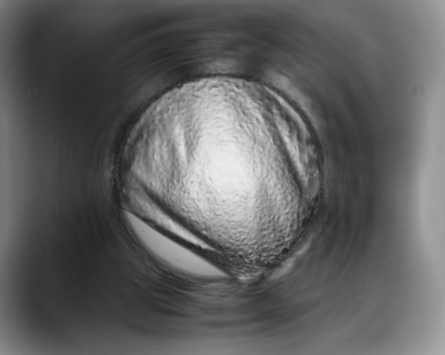 X0000088420153200706121439