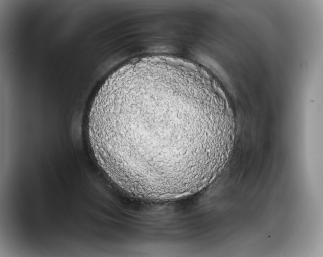 X0000088420155200706121439