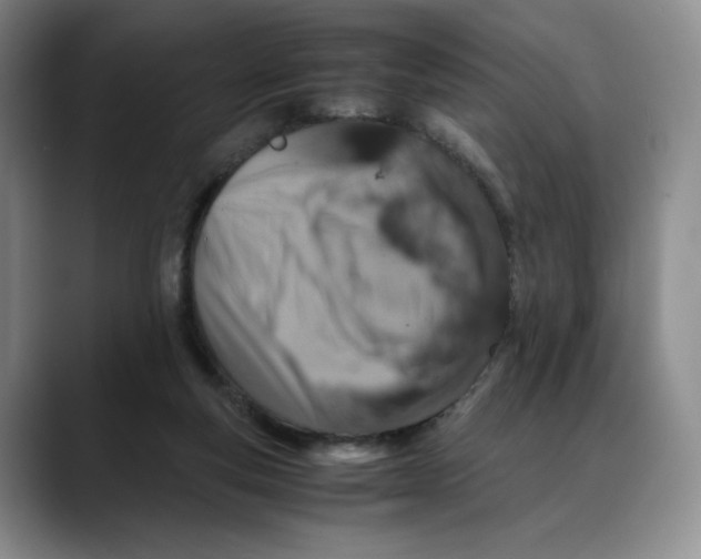 X0000088420163200706121439