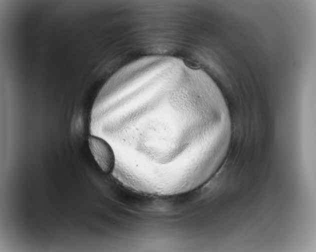 X0000088420166200706121439