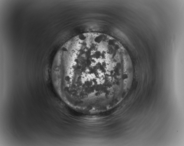 X0000088420169200706121439
