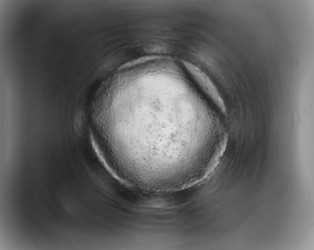 X0000088420171200706121439