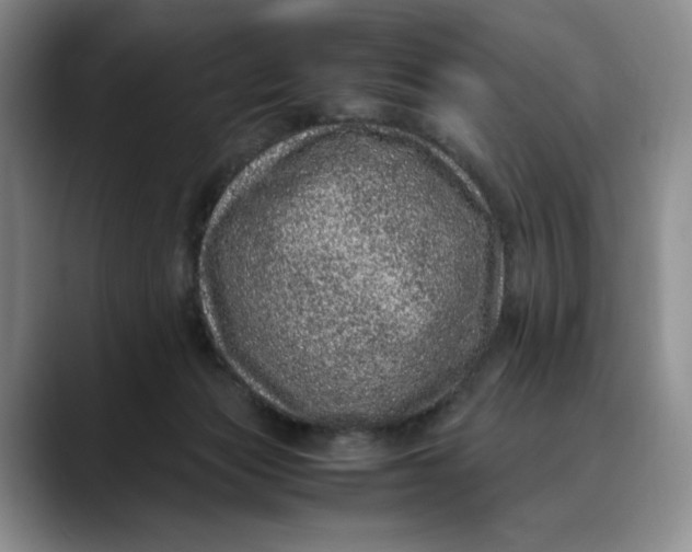X0000088420173200706121439