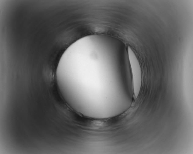X0000088420176200706121439