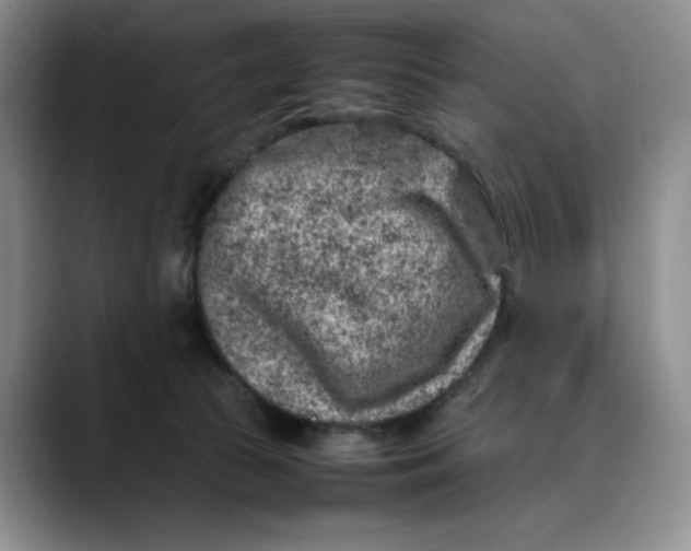 X0000088420177200706121439