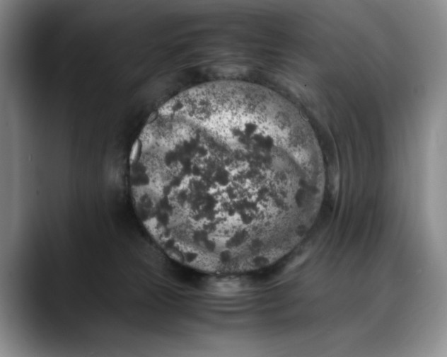 X0000088420181200706121439