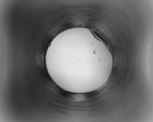 X0000088420183200706121439