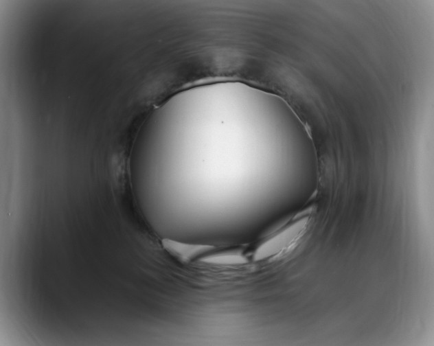 X0000088420184200706121439