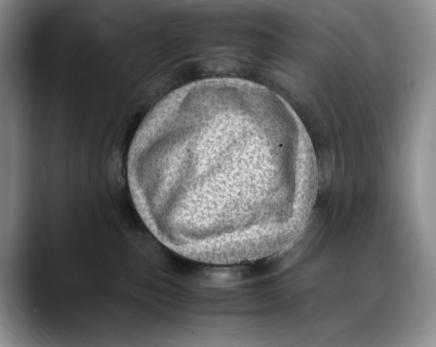 X0000088420187200706121439