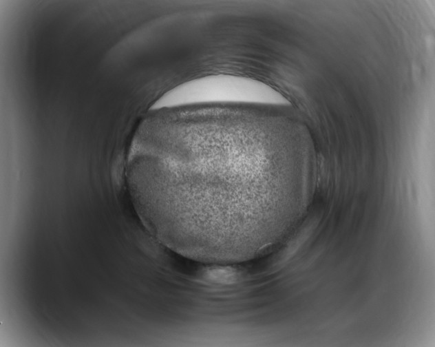 X0000088420189200706121439