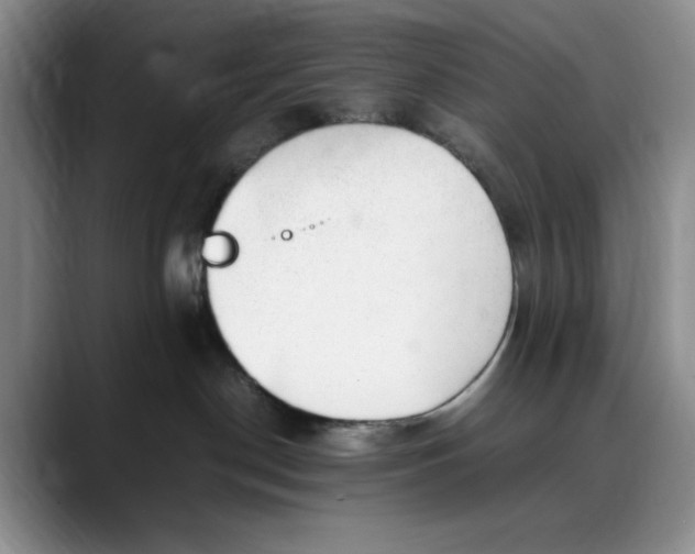 X0000088420190200706121439