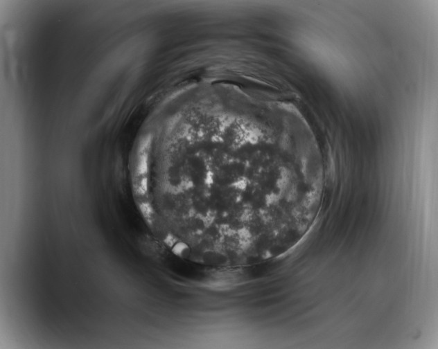 X0000088420191200706121439