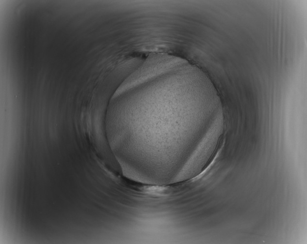 X0000088420192200706121439