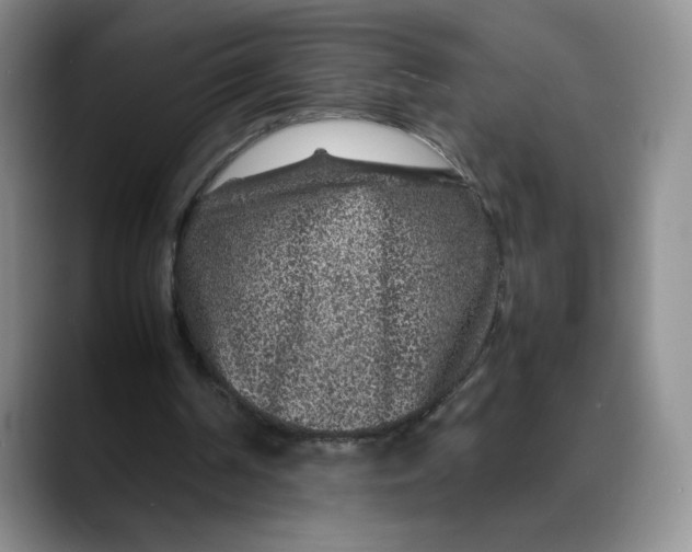 X0000088420194200706121439