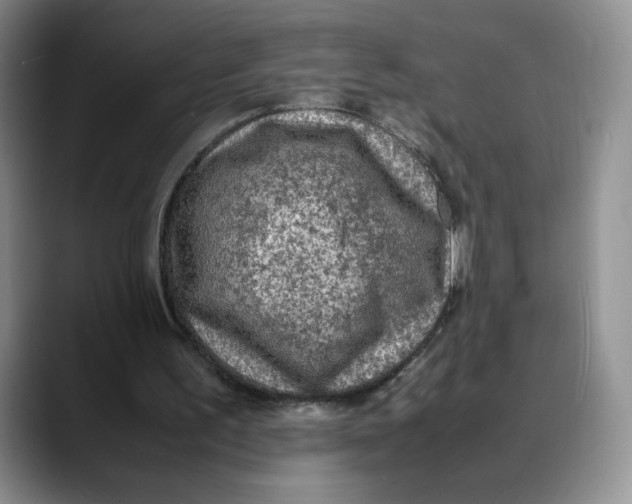 X0000088420195200706121439