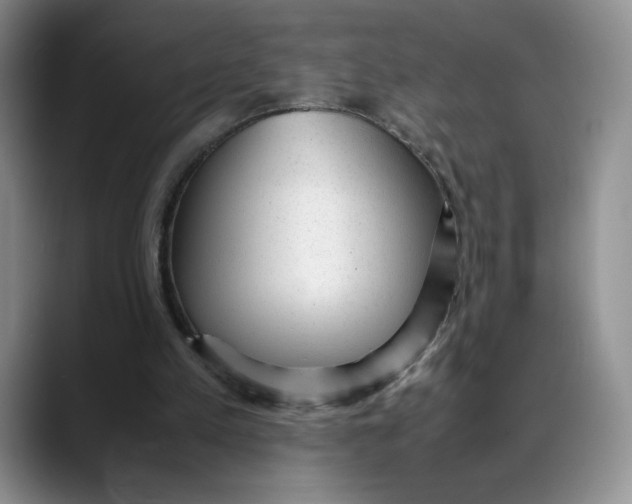 X0000088420197200706121439