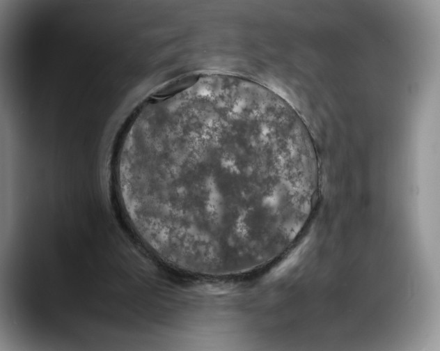 X0000088420199200706121439