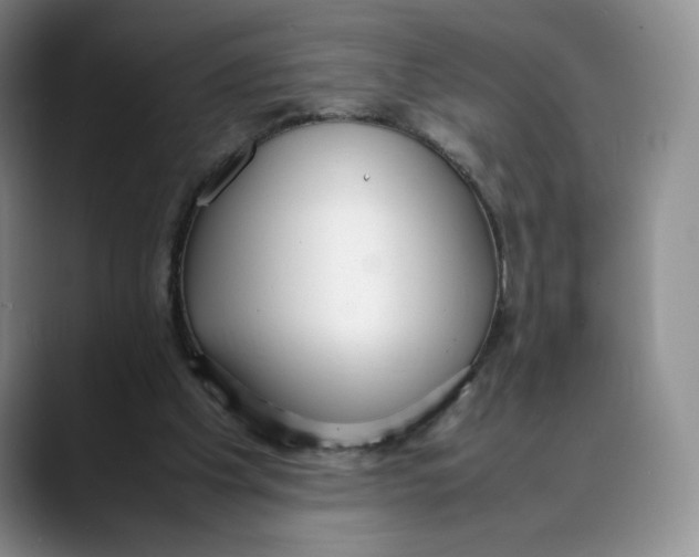 X0000088420201200706121439