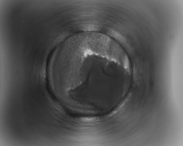 X0000088420202200706121439