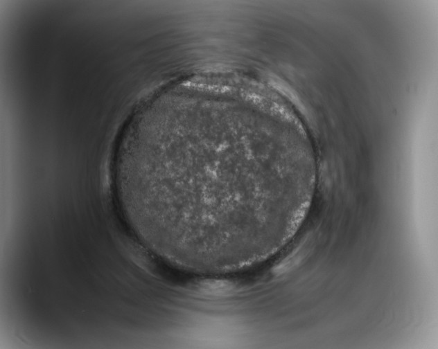 X0000088420203200706121438