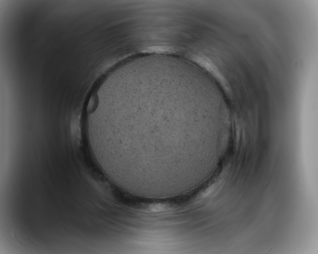 X0000088420204200706121438