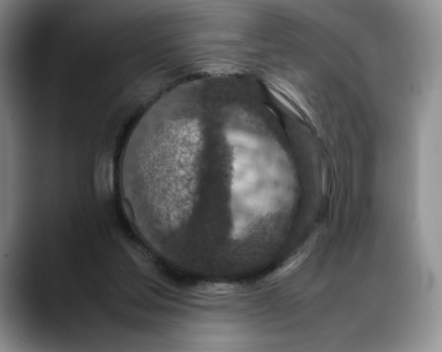X0000088420205200706121438