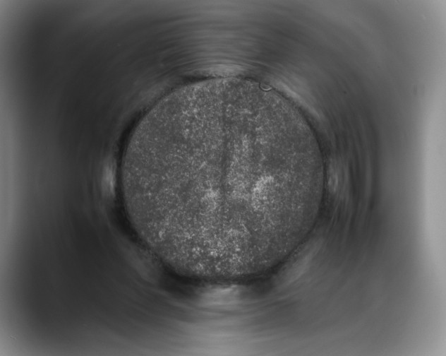 X0000088420206200706121438