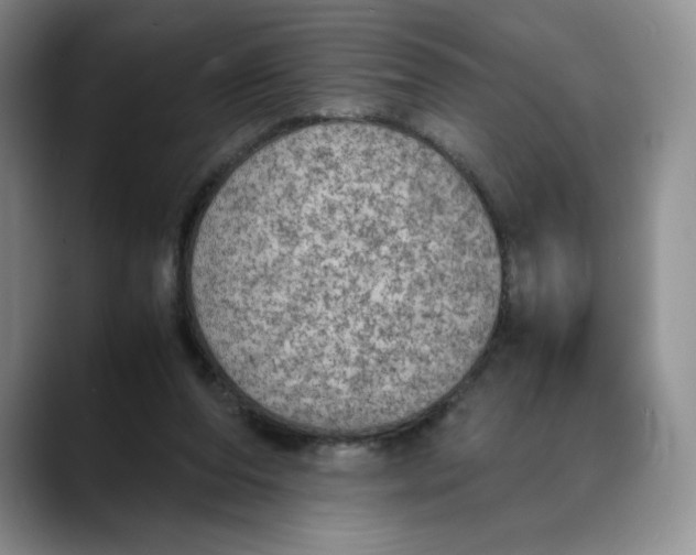 X0000088420208200706121438
