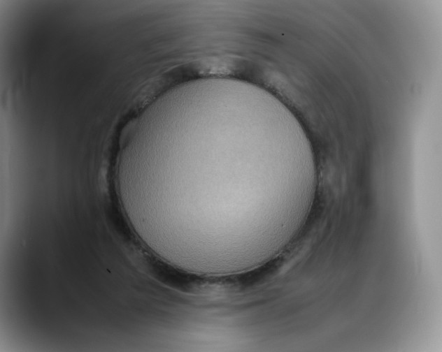 X0000088420209200706121438