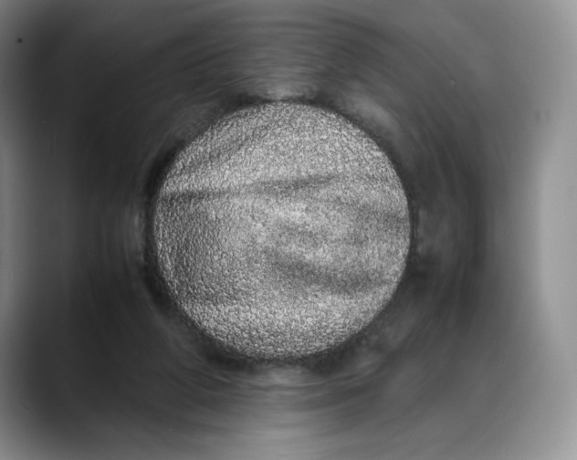 X0000088420210200706121438