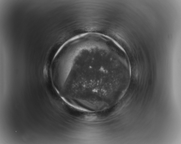 X0000088420214200706121438