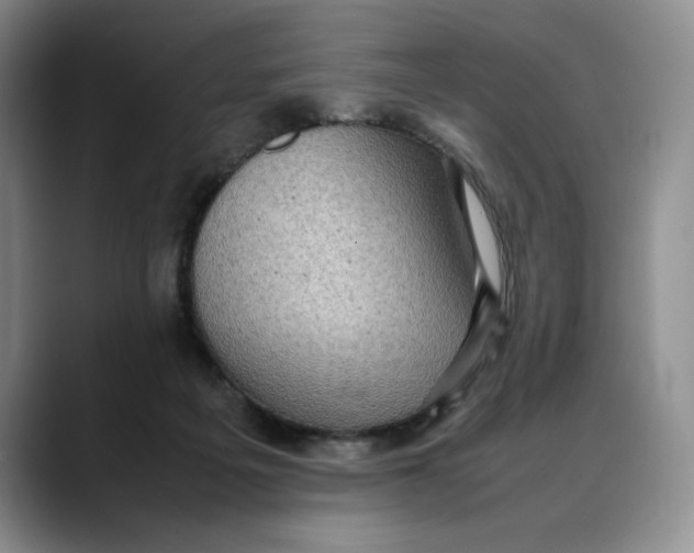 X0000088420217200706121438