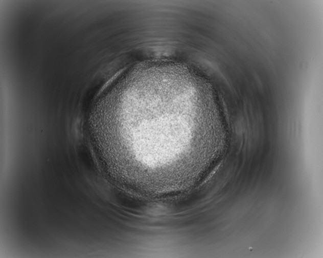 X0000088420218200706121438