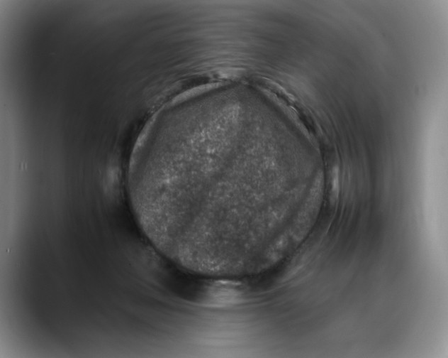 X0000088420222200706121438
