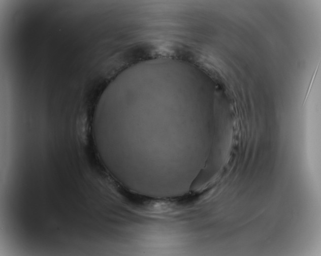 X0000088420223200706121438