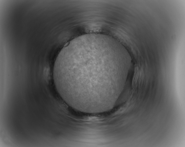 X0000088420224200706121438