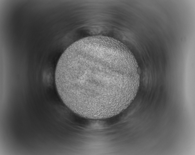 X0000088420226200706121438