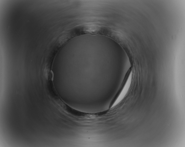 X0000088420227200706121438