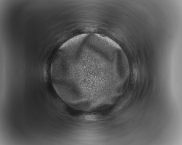 X0000088420228200706121438