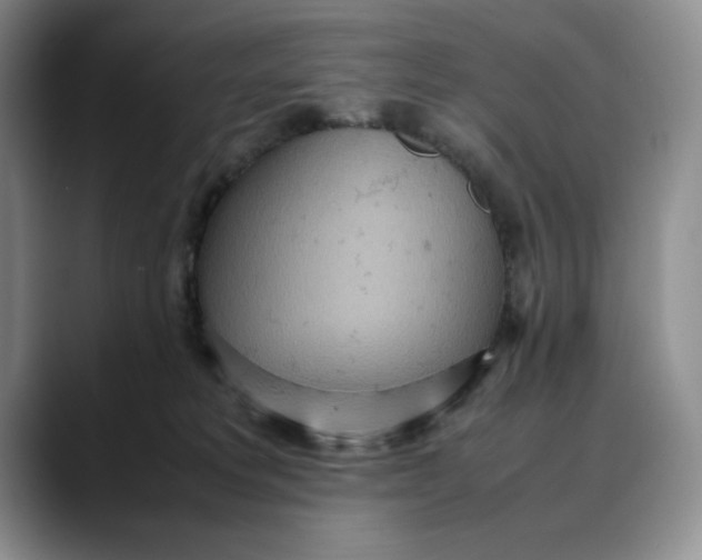 X0000088420229200706121438