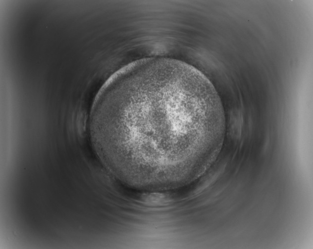 X0000088420230200706121438
