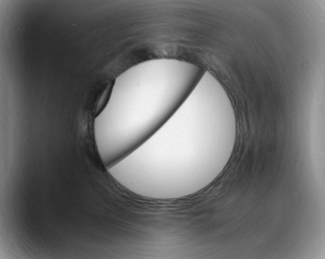 X0000088420233200706121438