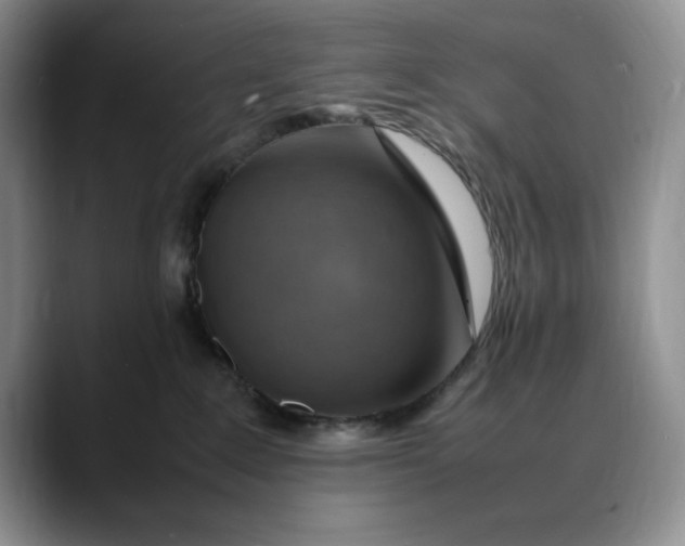 X0000088420235200706121438