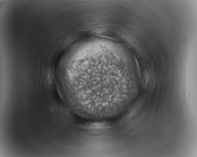 X0000088420236200706121438