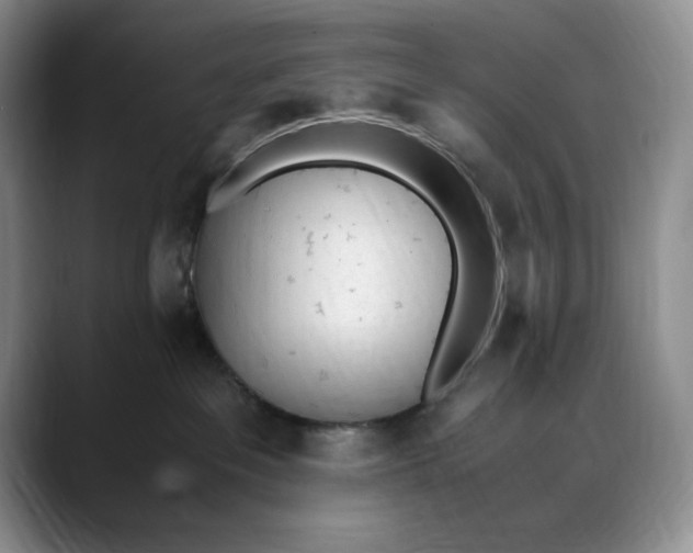 X0000088420237200706121438