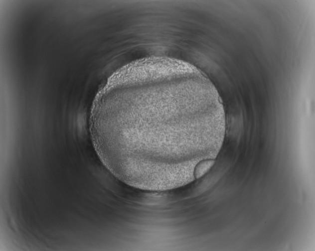 X0000088420238200706121438